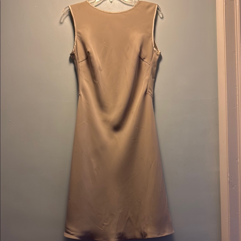 Natori Tan Gold Sleeveless Sheath Dress
